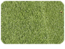 Putting Green Nylon